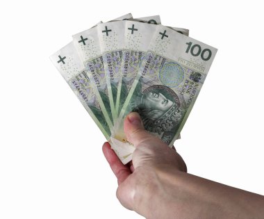 Polonya Zlotisi faturaları üzerinde beyaz izole tutan el