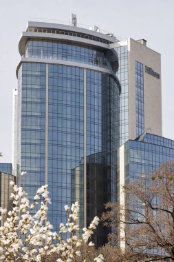 Bahar sarı ağaç ve otel Hilton Kiev, Ukrayna.