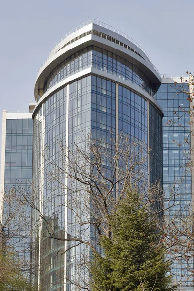 Árbol amarillo de primavera y hotel Hilton en Kiev, Ucrania . —  Fotos de Stock