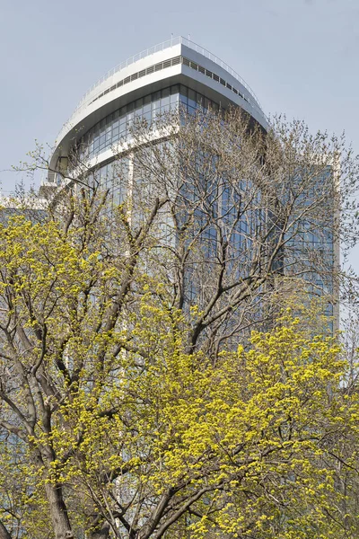 Vår gula träd och hotel Hilton i Kiev, Ukraina. — Stockfoto