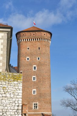 Wawel Royal castle Senatör tower, Krakow, Polonya.