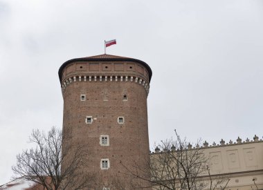 Wawel Royal castle Senatör tower, Krakow, Polonya.