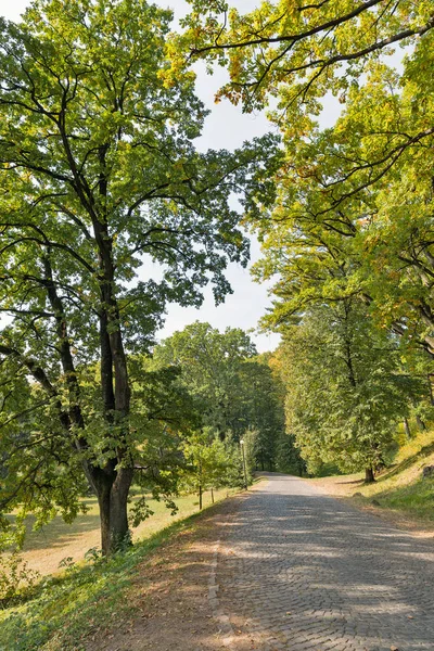 Väg belagd med kullersten leder till Schonborn slott. Chynadiyovo, Ukraina. — Stockfoto