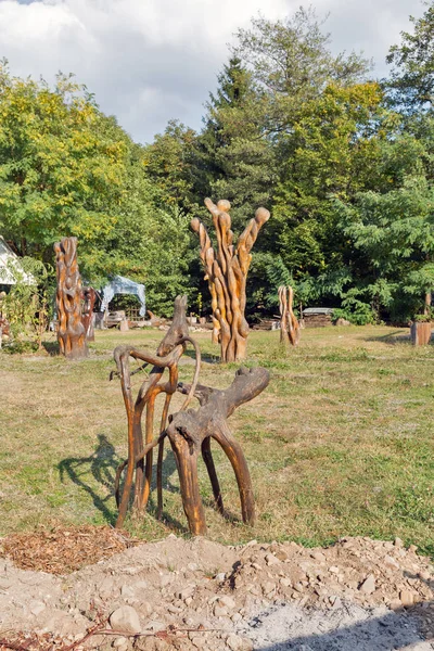 Warsztaty sztuki z drewniane rzeźby ogrodowe w Chynadievo, Ukraina. — Zdjęcie stockowe