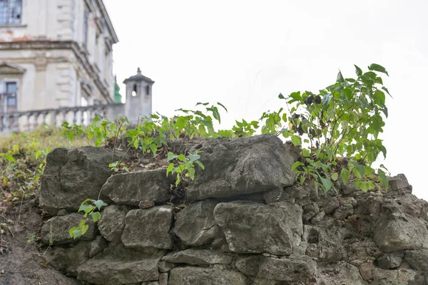 Pedras antigas do arruinado Castelo de Pidhirtsi no oeste da Ucrânia . — Fotografia de Stock