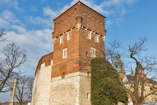 Hırsızlar kule Wawel Kalesi, Krakow, Polonya — Stok fotoğraf