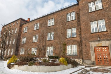 Sigarasız, iç avlu Wawel Kalesi Krakow, Polonya.