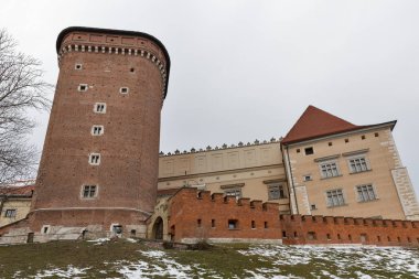 Wawel Royal castle Senatör tower, Krakow, Polonya.