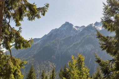 Alp manzara Western Carinthia, Avusturya.