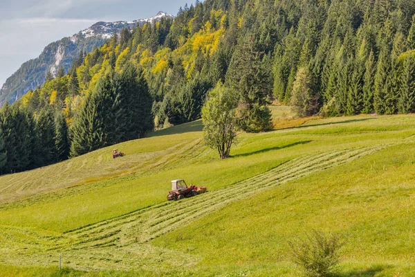 Trekker gras op een alpine gazon maaien — Stockfoto