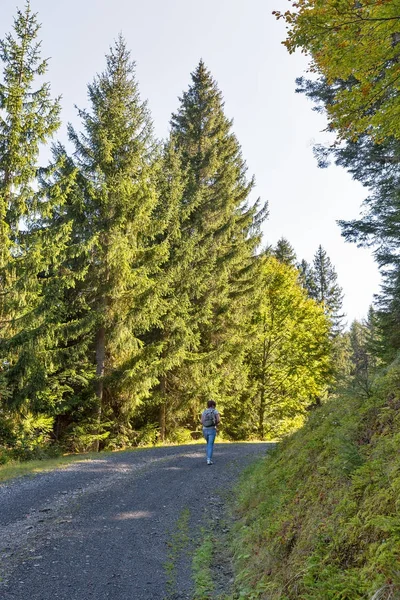 Wandern auf der Alpenstraße in Westkärnten, Österreich. — Stockfoto