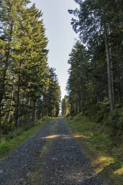 西オーストリア、ケルンテン州の山岳道路. — ストック写真