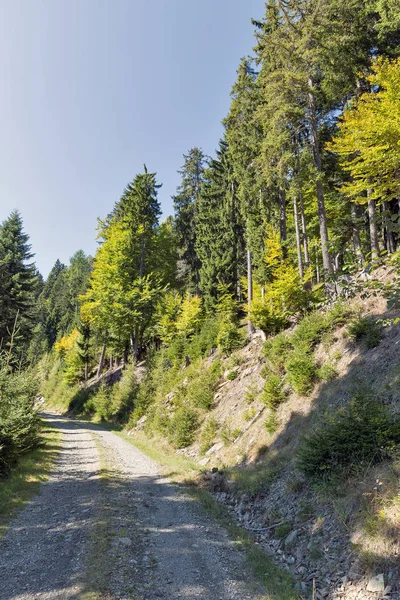 Alpstraße in Westkärnten, Österreich. — Stockfoto