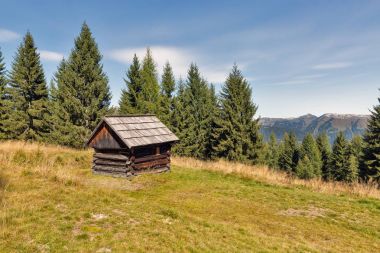 Alp ormanda yatay, avcı kulübesi Western Carinthia, Avusturya.
