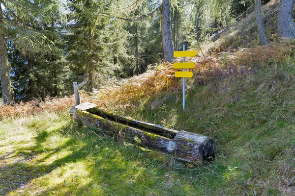 Ein Wassertrog für Wildtiere in den Alpen — Stockfoto