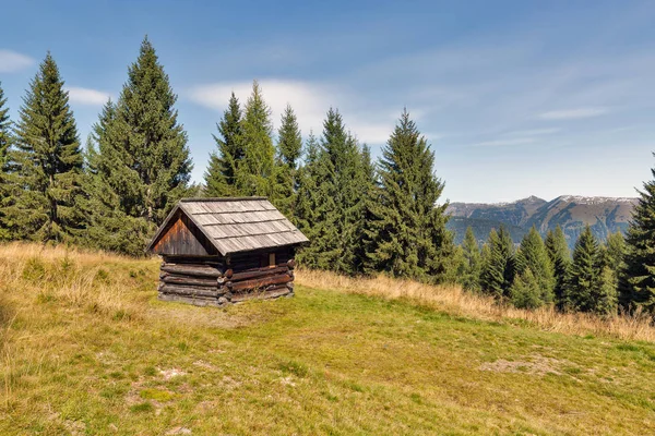 Woods alplandskapet med jaktstuga i Western Kärnten, Österrike. — Stockfoto
