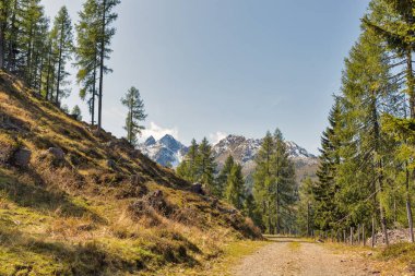 Alp manzara Western Carinthia, Avusturya.