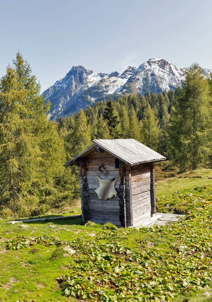 WC pastore in legno con paesaggio montano alpino in Austria . — Foto Stock