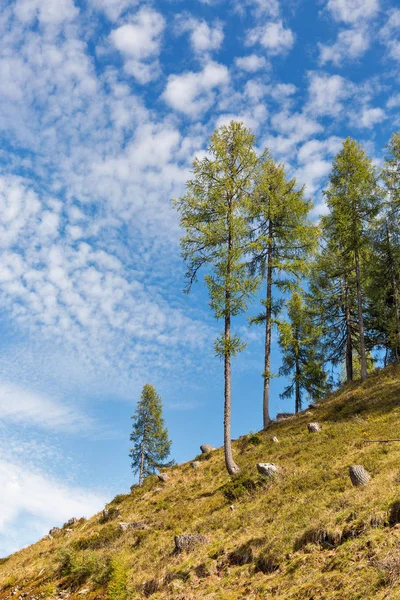 Paesaggio alpino nella Carinzia occidentale, Austria . — Foto Stock