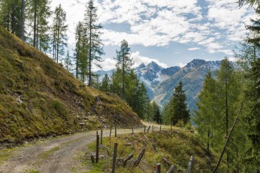Alp manzara Western Carinthia, Avusturya.