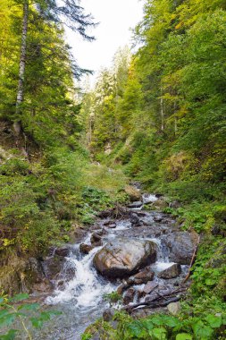 Dağ dere Western Carinthia, Avusturya