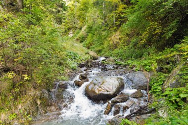 Dağ dere Western Carinthia, Avusturya