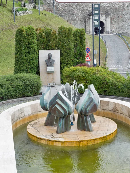 Cascata d'acqua e fontana di fiori di tiglio a Bratislava, Slovacchia . — Foto Stock