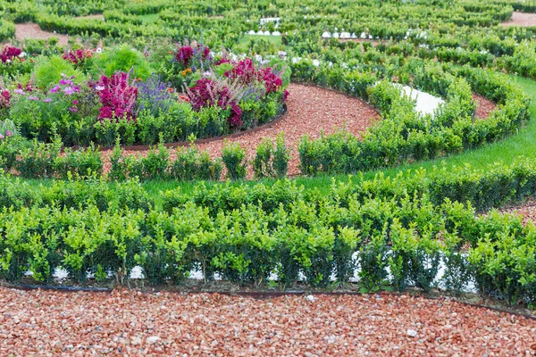 Blomma trädgård i slottet. Bratislava, Slovakien. — Stockfoto