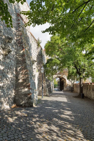 Medieval castle alley in Bratislava, Slovakia. — Stock Photo, Image