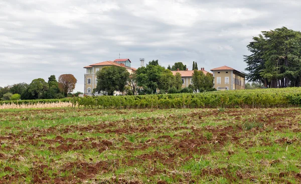 Landskap nära Porec, Crioatia. — Stockfoto