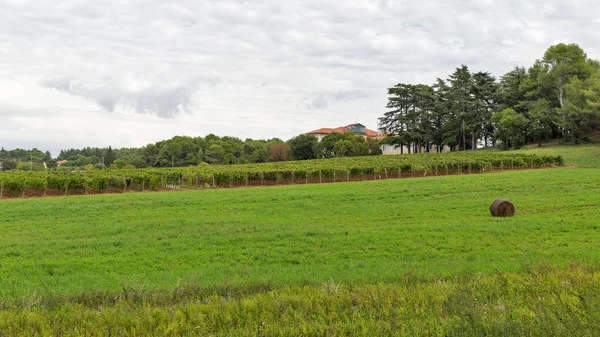 Paisagem perto de Porec, Crioatia . — Fotografia de Stock