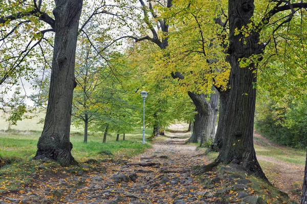 Weg zum Kalvarienberg in Banska stiavnica, Slowakei. — Stockfoto