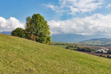 Yaz tepeler yakın Liptovsky Trnovec Köyü, Slovakya.