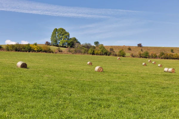 Bäuerliche Weidelandschaft mit Heuhaufen — Stockfoto