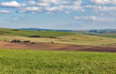 Yaz tepeler yatay, traktör Slovakya.