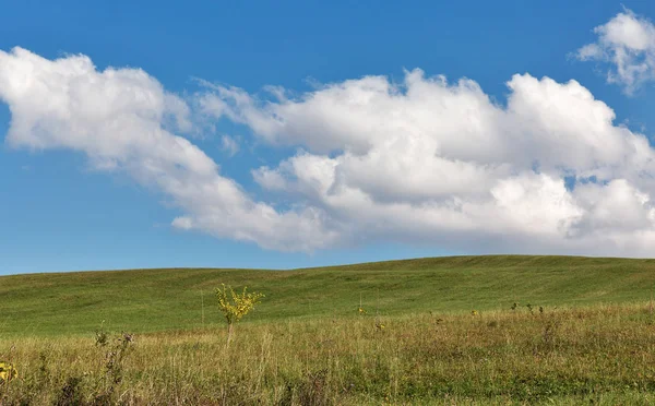 Pastviny letní krajina — Stock fotografie