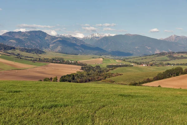 Estate colline paesaggio in Slovacchia . — Foto Stock