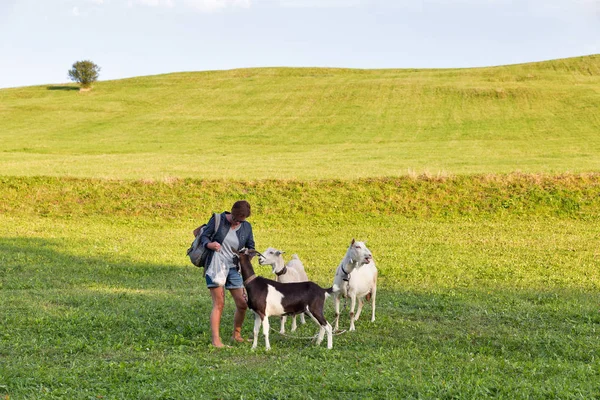 Weide Sommerlandschaft mit Frau füttert weidende Ziegen — Stockfoto