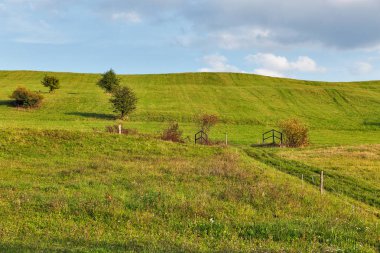 kırsal otlak manzara