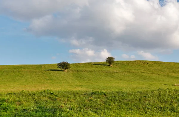 Ländliche Weidelandschaft — Stockfoto