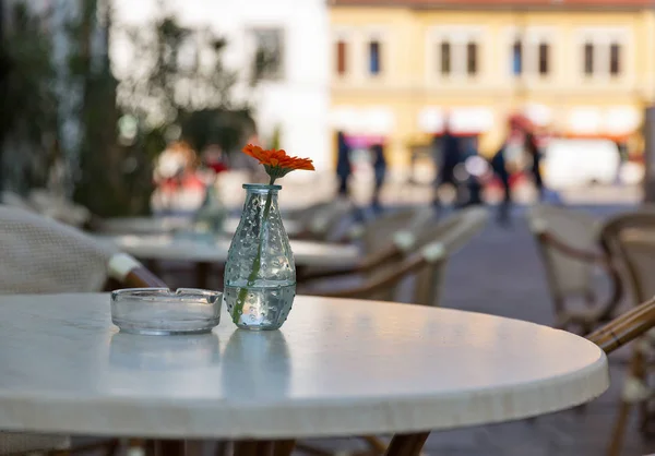 Szabadtéri kávézó asztal, a virág és a hamutartó — Stock Fotó