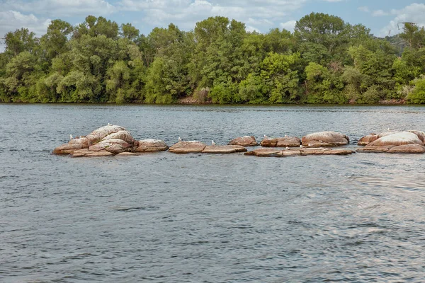 Naturskön Utsikt Från Khortytsia Till Floden Dnepr Zaporizhia Ukraina — Stockfoto