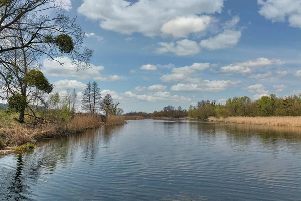 Quiet Ros Riverbanks Early Spring Ukraine — Stock Photo, Image