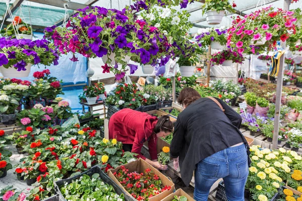 Kyiv Ukraine Maj 2020 Människor Medicinska Masker Besöker Trädgård Blommor — Stockfoto