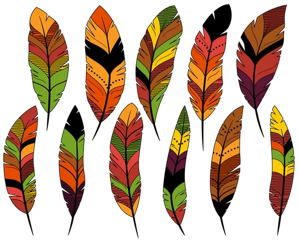 Plumes de Thanksgiving ou de couleur automne — Image vectorielle