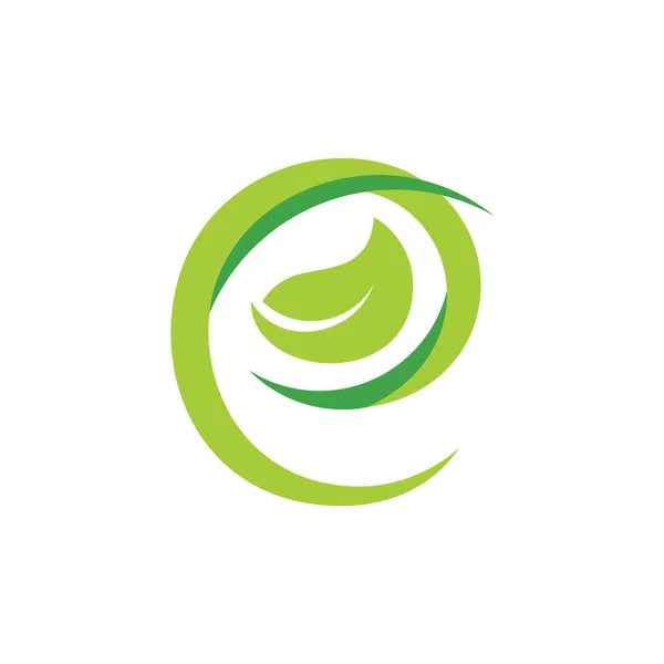 Letra Hoja Eco Logo Vector — Archivo Imágenes Vectoriales
