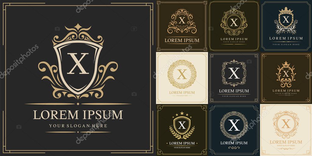 Set of luxury logo template, Initial letter type X, vector illustration