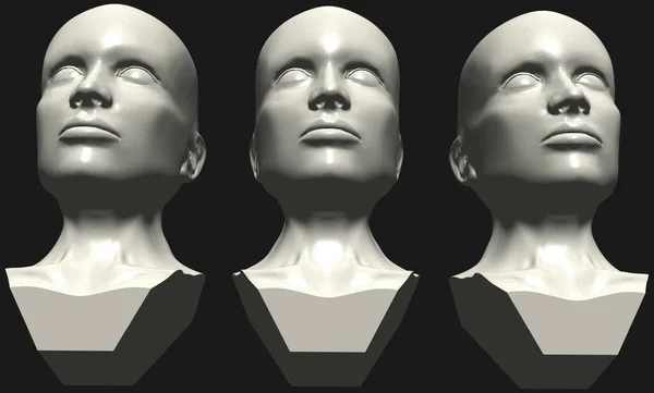 Mannequin Woman Head Vector Illustration Isolated White Background Vector Illustration — Stock Vector