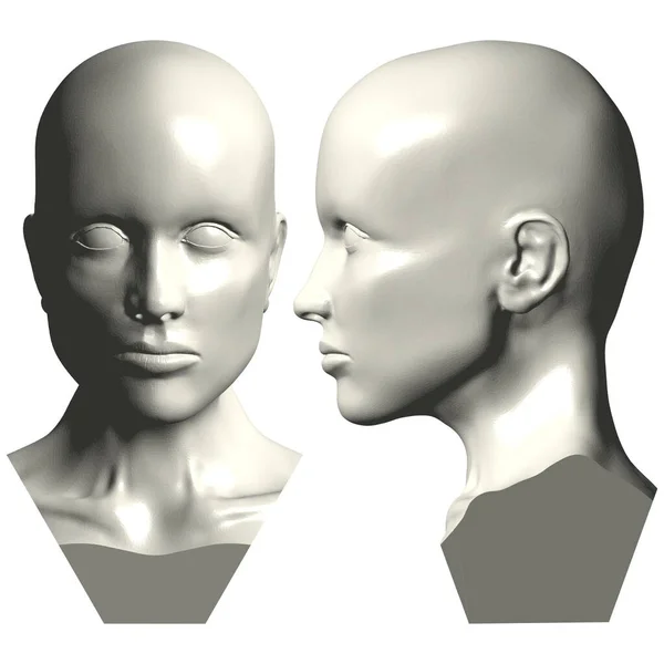 マネキン女頭部ベクトル 白を基調としたイラスト マネキンの背景のベクトルイラスト — ストックベクタ