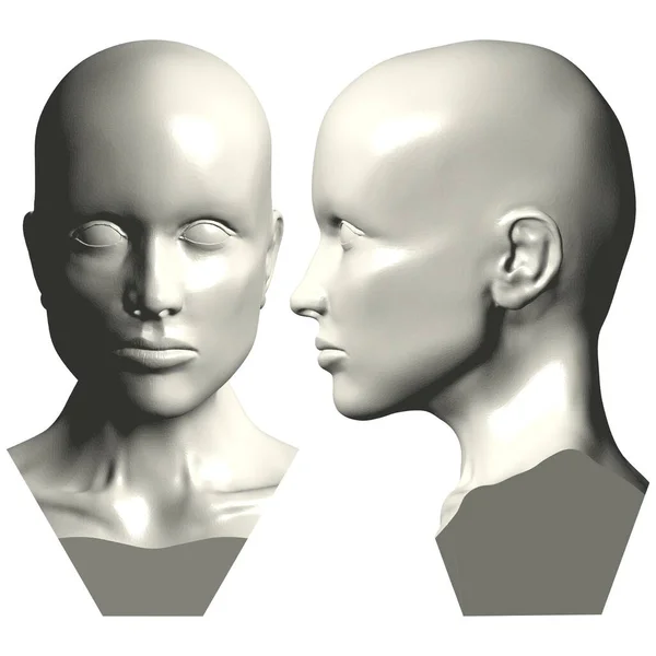 Mannequin Woman Head Vector Ilustración Aislado Sobre Fondo Blanco Una — Archivo Imágenes Vectoriales